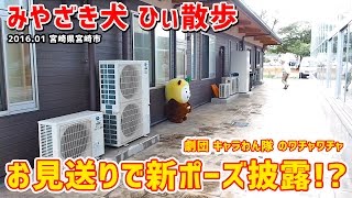 【みやざき犬】無茶ぶりで新ポーズ披露！？ (201701)