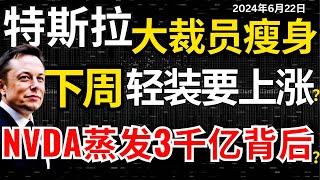 【特斯拉拼命裁员】为的就是要推Optimus，下周牛市启动？ 英伟达两天蒸发3000亿背后黑手 #特斯拉#特斯拉股票 #美股 #股哥说美股 #tesla #马斯克 #美股复盘