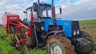 САЛОМ АЛЕКУМ ДУСТОНИ АЗИЗ ДЕХКОН ВОЛГОГРАД УРОЖАЙ МОРКОВЬ 🥕 С КОМБАЙНЫ МОРКОВЬ