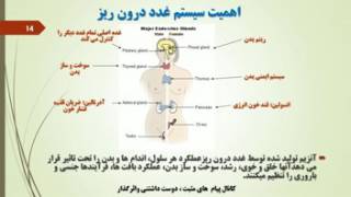 علم استرس و هنر مدیریت