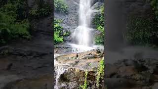 all good things are wild and free ... munnar pooppara water falls ..#idukki #india #kerala #munnar