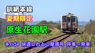 【夏期限定】釧網本線 原生花園駅 キハ54 快速しれとこ摩周 停車～発車