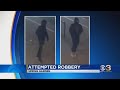 2 men wanted for assaulting woman during attempted robbery in Philadelphia