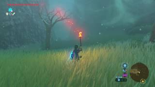 Zelda BotW - Lost Woods walkthrough