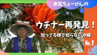 第１回 赤瓦ちょーびんの「ウチナー再発見！知ってる様で知らない沖縄」