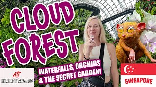 Explore Singapore's Cloud Forest: Orchids, Rare Plants \u0026 the World’s 2nd-Largest Indoor Waterfall