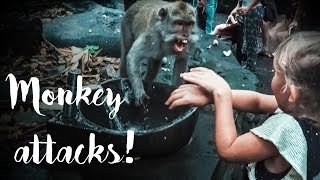 VLOG 82  - CHILD GETS ATTACKED BY MONKEY (MONKEY FOREST UBUD, BALI)