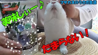 小動物用の大麦若葉ペレット!　グルテンフリー!うさぎ、チンチラ、モルモットなどの栄養補給♪　テイストプラスレビュー