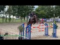 levi vdl arezzo vdl x diamant de semilly met marcel de boer in ommen 2022