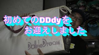 【ナオチャンTV】初のDDdy(ドルフィードリームダイナマイト)トワをお迎えしました