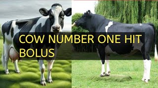 Animal Hit ki Medicine | Totavit Bolus #farming Videos