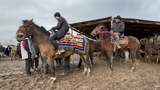 МОЛБОЗОРИ НОХИЯИ ЁВОН 🥶🚨😱НАРХО ДАР ОСМОН. СРОЧНА ТАМОШО КУ 👍