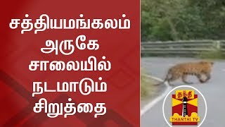 Caught on Camera | சத்தியமங்கலம் அருகே சாலையில் நடமாடும் சிறுத்தை | Thanthi TV