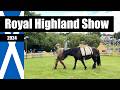 🏴󠁧󠁢󠁳󠁣󠁴󠁿 Visiting the Royal Highland Show 2024 | EDINBURGH, SCOTLAND