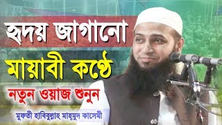 হৃদয় জাগানো মায়াবী কন্ঠে নতুন ওয়াজ | Bangla New Waz 2019 | Mufti Habibullah Mahmudd  Kasemi