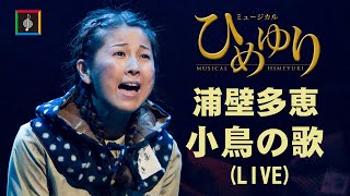 浦壁多恵「小鳥の歌」(LIVE)