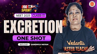 Excretion One shot Biosprint | Class 11 | NEET - 2025 | Sandhya ma'am