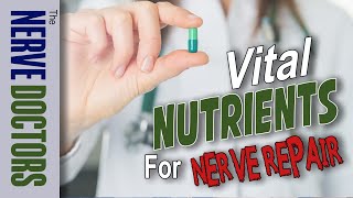 Vital Nutrients for Nerve Repair  \u0026 Neuropathy Treatment - The Nerve Doctors