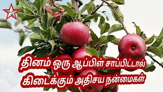 ஆப்பிள் தினமும் சாப்பிட்டால் வரும் நன்மைகள் | Apple Benefits | SHINING STAR CHANNEL