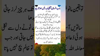 Urdu Islamic Quotes||Urdu Quotes||Shorts Video||Islamic Quotes||Urdu Poetry||Viral