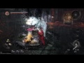 ps4 1080p 仁王 nioh 頭目戰 白虎 無傷完全勝利者