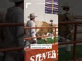 bevo arrives at 2023 big 12 championship game texas longhorns vs. oklahoma state cowboys