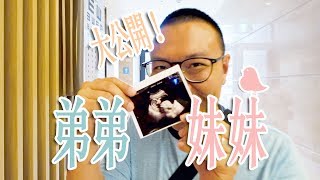 【鳥二寶懷孕日記#2】弟弟還是妹妹，哥哥都知道？