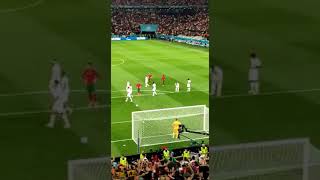 മലയാളി ഇല്ലാത്ത നാടൊ cr7|cristiano ranoldo penaltty goal france vs portugal|2-2 Euro Cup #Shorts