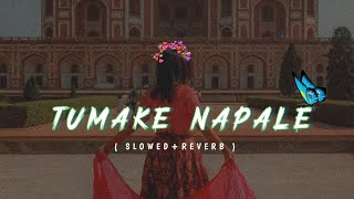 Tumake Napale - Slowed Reverb | Vicky Kalita ft.Barsha | Prasant | Surabhi | Apuraj | Nirvoy lofi |