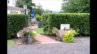 An example of a Viburnum Hedge