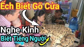 Đồng Tháp Xuất Hiện ẾCH BIẾT GÕ CỬA NGHE KINH TIẾNG NGƯỜI Tại Phòng Trọ Em Sang / Độc Lạ Thuận Phạm