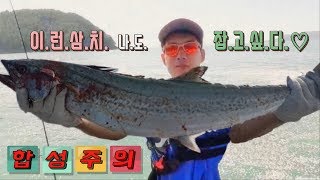 통영에서 갑오징어 루어 낚시 하다가 만난 삼치! 아직도 생각하면 떨려요...