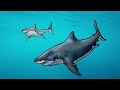 why sharks become horrifying the deeper the ocean gets meet the megalodon