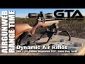 Dynamic Air Rifles - DAR Gen 3 .25 Caliber H&N Slug tests.  Better than pellets?