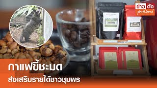 กาแฟขี้ชะมด ส่งเสริมรายได้ชาวชุมพร | ข่าวดัง สุดสัปดาห์ 03-08-2567