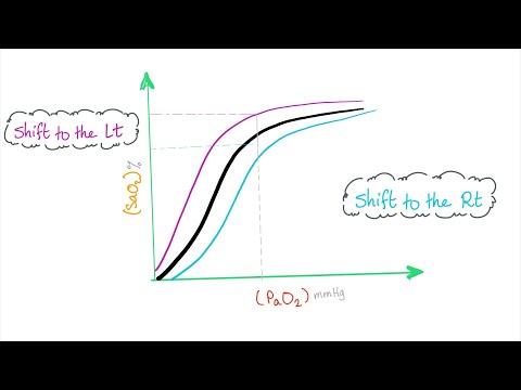 What decreases affinity of oxygen for hemoglobin?