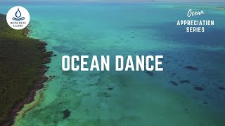 60 seconds of Ocean Appreciation visuals (no ads)