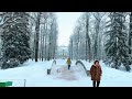 beautiful winter walk in catherine park of st petersburg russia