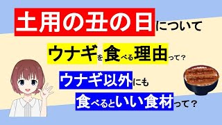 【土用の丑の日】うなぎを食べる理由って？夏バテを予防する栄養が多い？関西と関東で切り方が違う？うなぎ以外にもおすすめの食べ物って？