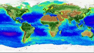 NASA Captures 20 Years of Seasonal Changes