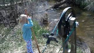 Bowfishing MN creek 27 Carp in 8 min 2011