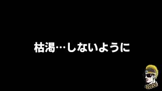 【ドライブラジオ】インプットが間に合わない！【general conversation in Japanese・雑談】