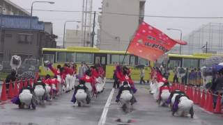 山村国際高校　鳴子連・パレード＠2016　ところざわYOSAKOI元気フェスタ