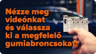 Hol találja meg az autójához ajánlott gumiabroncs méretet | AUTODOC tippek