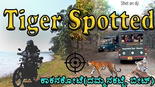 Kabini Tiger Safari Episode2 Dammanakatte Kabini : ಕಬಿನಿ ದಮ್ಮನಕಟ್ಟೆ ಸಫಾರಿ ವೇಳೆ ಕಾಣಿಸಿದ ಹುಲಿ | Mysore