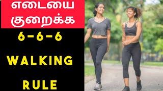 உடல் எடையை எளிதாக குறைக்க 6-6-6 நடை பயற்சி....