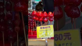 古早味的糖葫蘆、沒有古早的價位-士林夜市Traditional-style candied hawthorns, but not at traditional prices anymore.