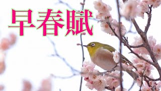 楽譜「早春賦」ソロピアノ  初級用　参考音源