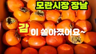 성남모란시장 요즘제철 감이 풍년이예요 가격 품질에 놀라유~대봉감 단감 홍시 재래시장 장구경 가유 잠생이부인