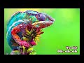 PNAU - Chameleon (Lyrics & 432Hz)